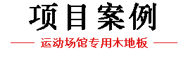 項目案例